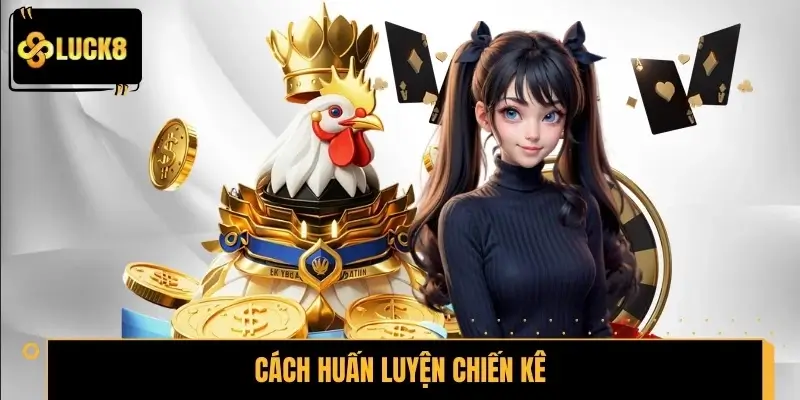 Cách huấn luyện chiến kê sở hữu đòn đá chuẩn nhất