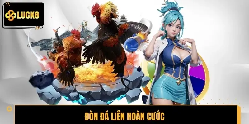 Đòn Đá Liên Hoàn Cước – Chiến Thuật Hạ Gục Đối Thủ Nhanh Gọn