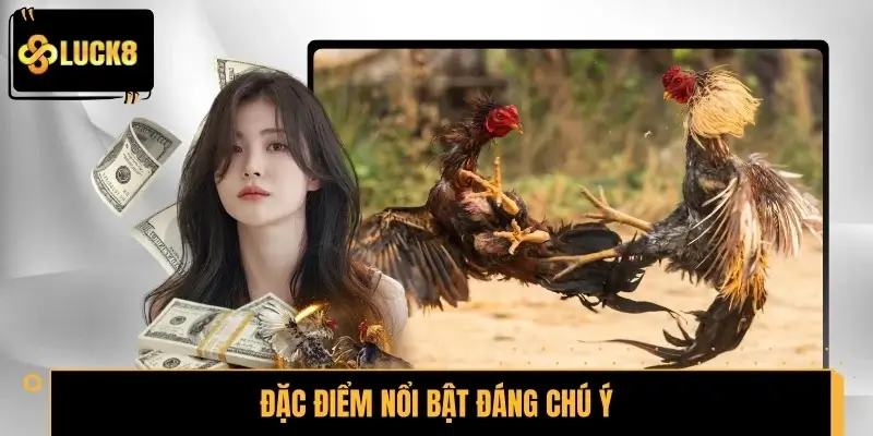 Thế gà đá xạ và đặc điểm nổi bật đáng chú ý