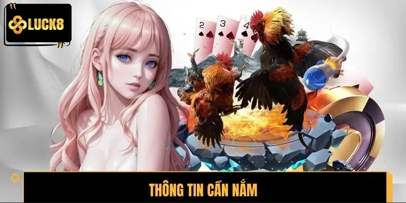 Thông tin cần nắm về đòn đá liên hoàn cước